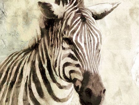 DD1467 - The Zebra - 12x12 For Sale