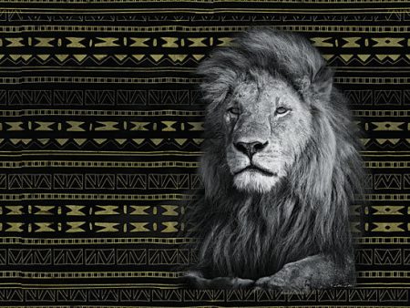 DD1470 - Patterned Lion - 16x12 Online Hot Sale