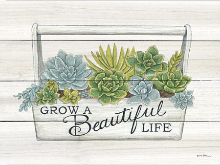 DS1495 - Beautiful Life Succulents - 16x12 Online Hot Sale