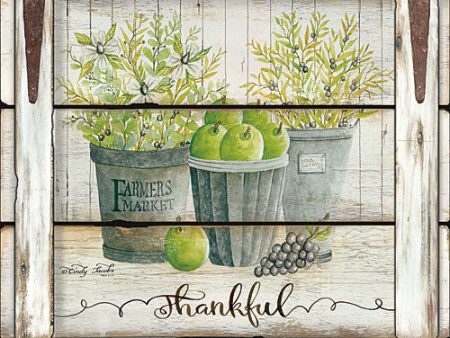 CIN747 - Eucalyptus - Thankful - 16x12 Fashion