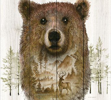 ED350 - Bear Wilderness Portrait - 12x16 Hot on Sale