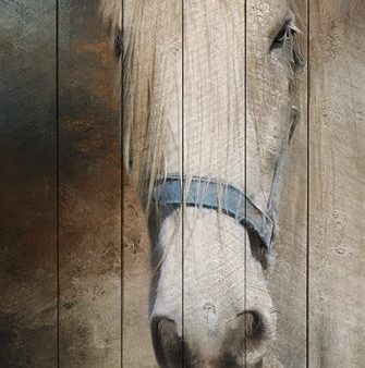 RLV629 - Old Gray Mare - 12x18 Supply